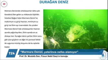 Prof. Mustafa Sarı: Müsilajın üç nedeni 'denizlerin ısınması, deniz durağanlığı ve arıtılmayan atıkların yol açtığı besin zenginliği'; 25 milyon insanın atığı arıtılmadan Marmara'ya bırakılıyor