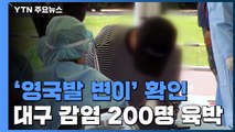 200명 육박한 대구 유흥주점 집단 감염은 '영국발 변이' / YTN