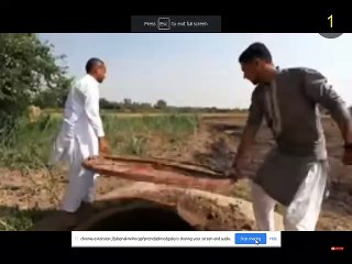 - World's Biggest || The largest food in the world by food&coking