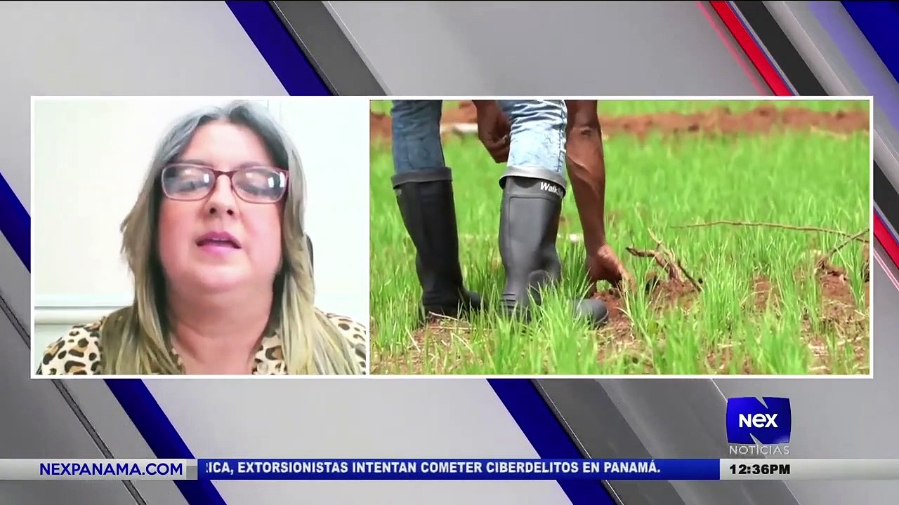 Entrevista a Cinthia Novoa, Subdirectora del Sistema Penitenciario - Nex Noticias
