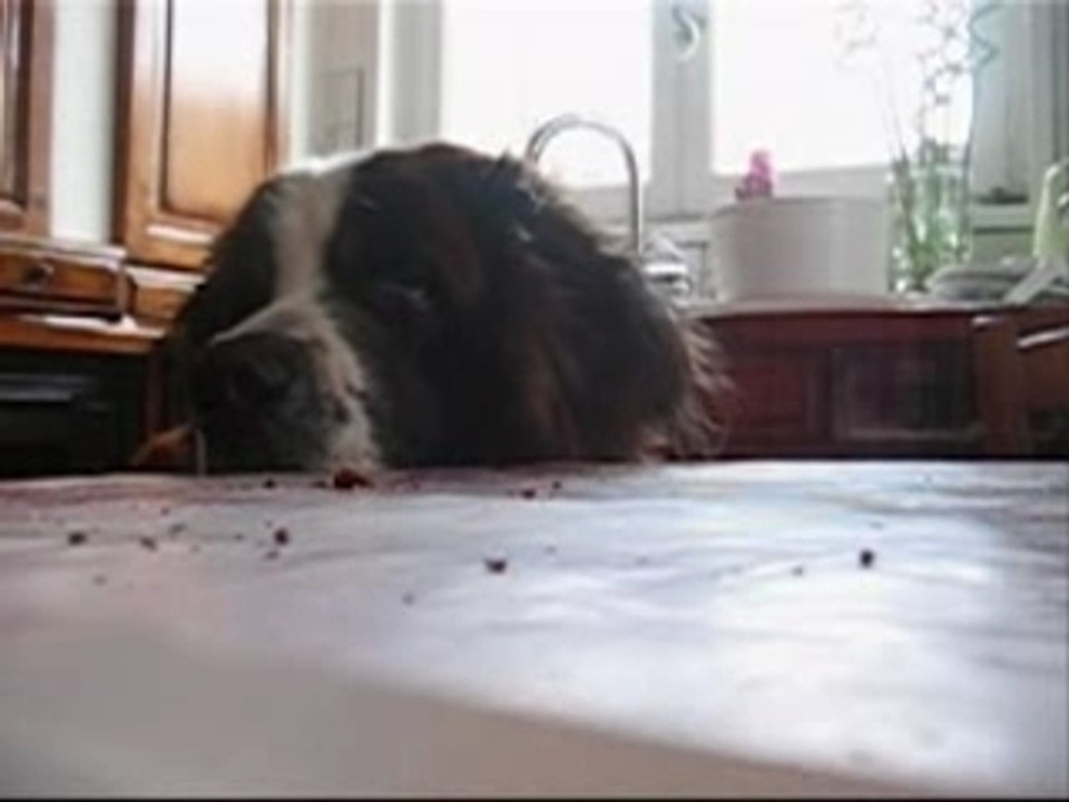 NYCKSON LE GOURMAND