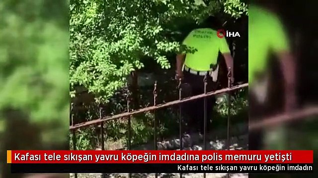 Kafası tele sıkışan yavru köpeğin imdadına polis memuru yetişti