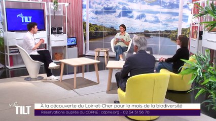 MINI TILT - 25/05/2021 - Bisphénol : la thèse d'une étudiante distinguée par la Ville de Tours