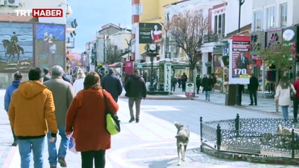 Kapıkule'ye mobil PCR testi laboratuvarı kuruluyor