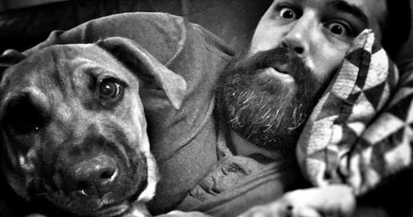 Alençon : il adopte un chien qui servait d'appât aux requins en Guadeloupe