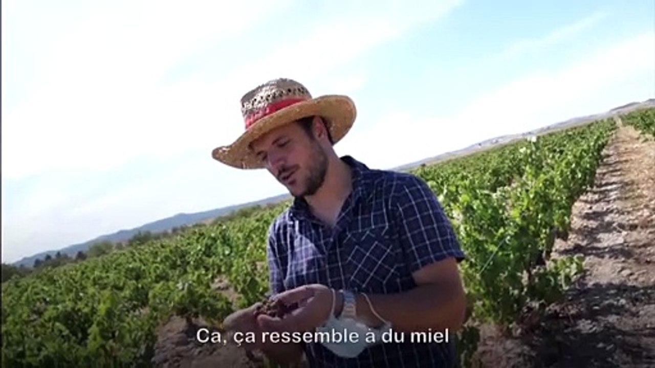 Au delà du désert