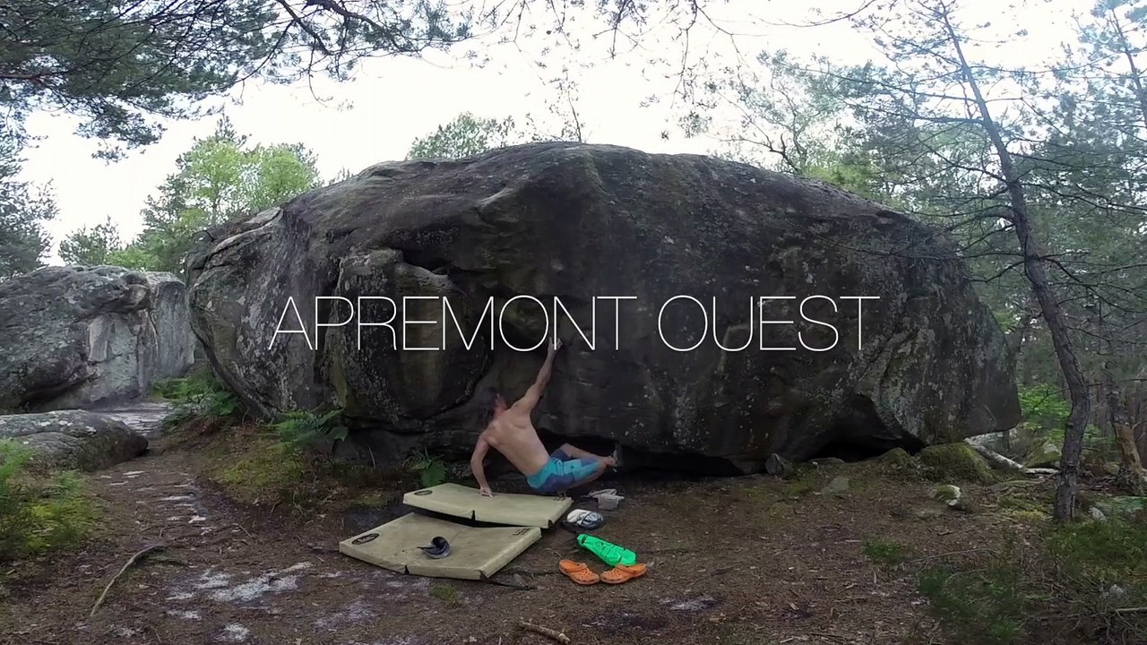 Bleau - L'Omoplate (assis)