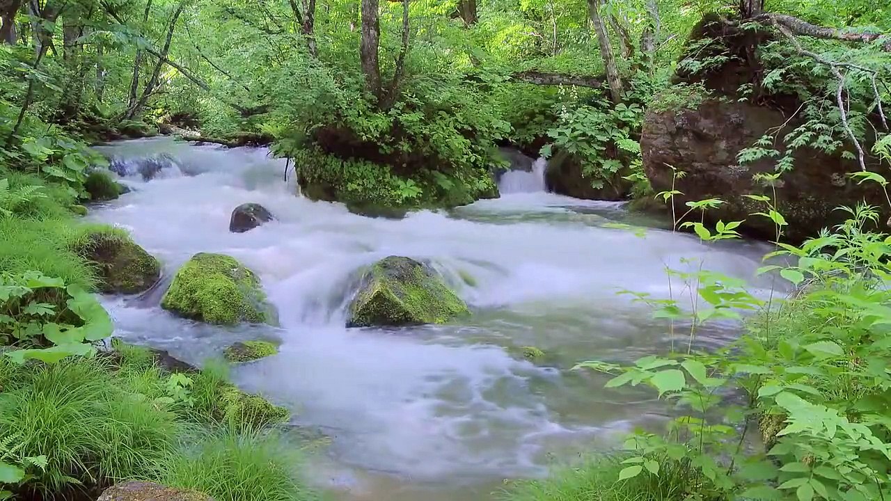 Musique relaxante avec ruisseaux et chants d'oiseaux
