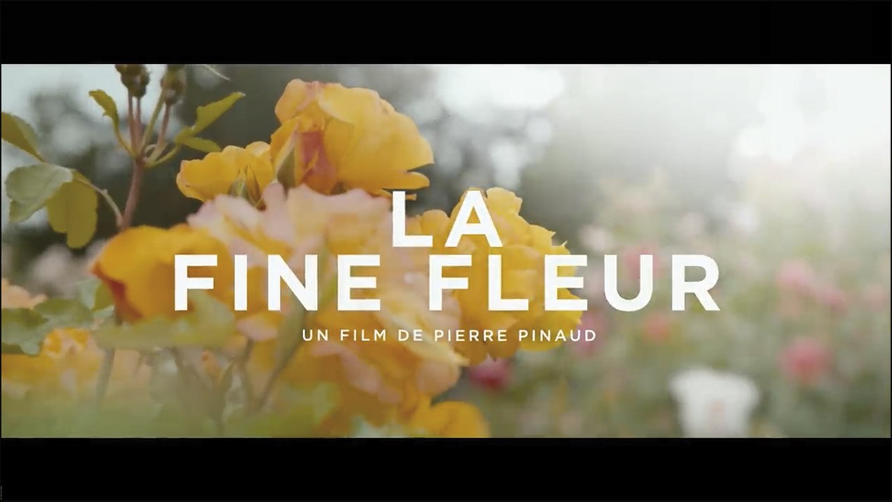 LA FINE FLEUR (2019) FRENCH 720p Regarder