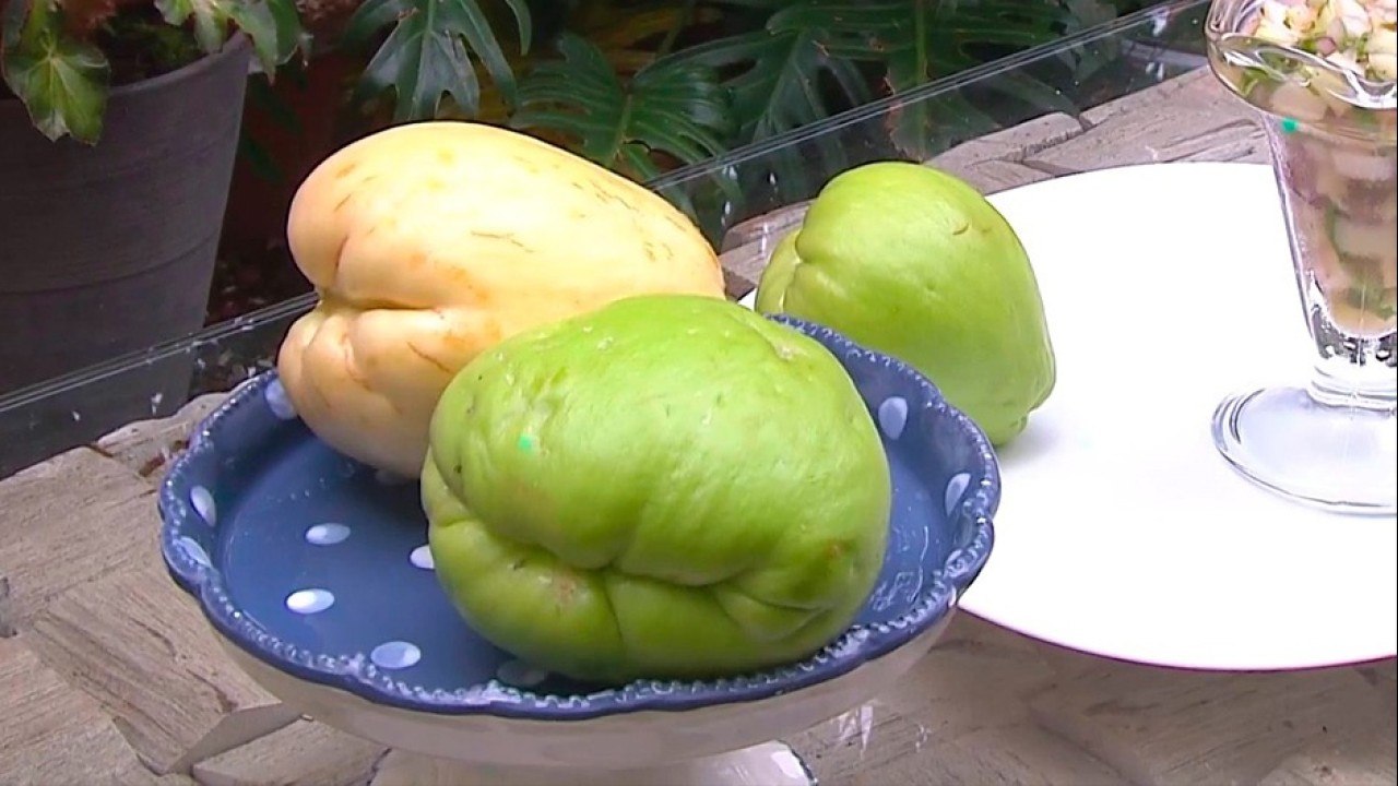 bd-recetas-con-chayote-250521