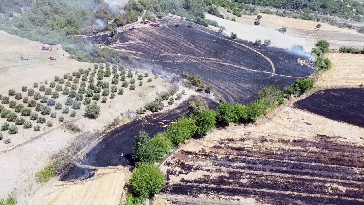 OSMANİYE - Tarladan ormanlık alana sıçrayan anız yangını kontrol altına alındı
