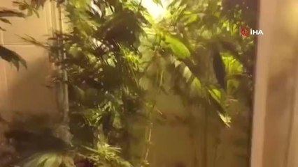 İstanbul ve Ankara merkezli eş zamanlı uyuşturucu operasyonu