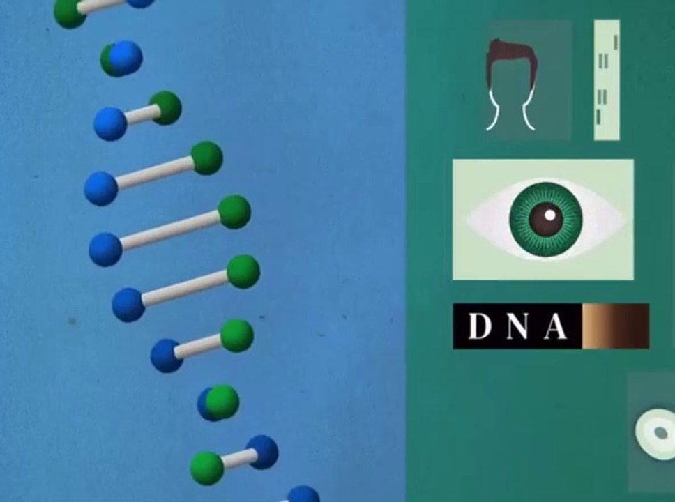 Genetics