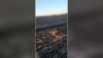 KİLİS - 200 dönüm arpa ve buğday ekili tarla yandı