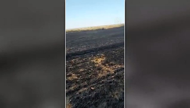 KİLİS - 200 dönüm arpa ve buğday ekili tarla yandı