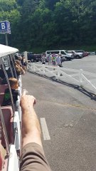 Baby Bears Visit Theme Park