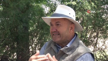 “Kültepe’ye gelen tüccarlar sadece teknoloji değil gen transferi de yaptı”
