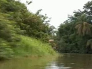 Amérique Centrale : Faune et Patrimoine