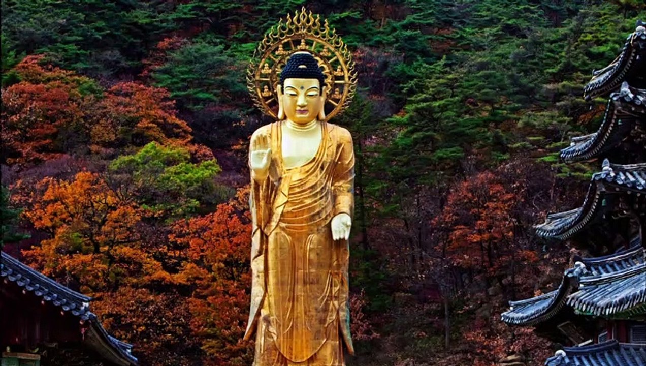 Buddha Purnima Whatsapp Status| Buddham Saranam Status| Gautama Buddha Jayanti Status|#बुद्धपौर्णिमा