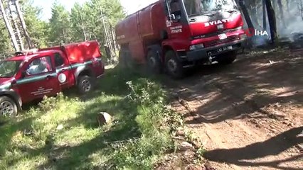 Tavşanlı'da orman yangını