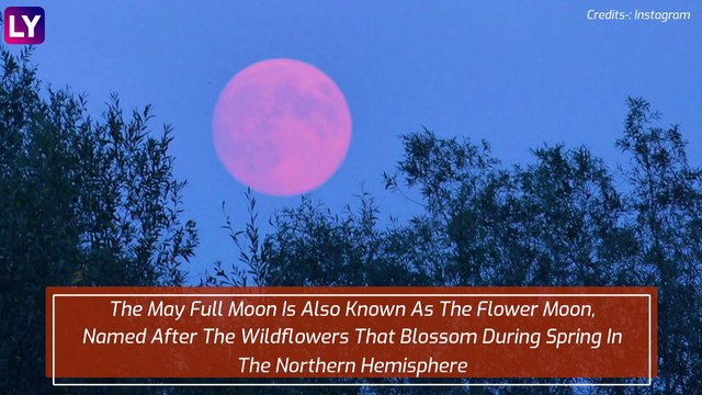 First Total Lunar Eclipse Since 2019 On May 26; Know All About Super Blood Flower Moon
