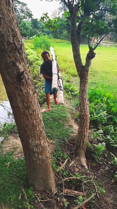 Parrot Chicks Rescued from Compromised Nest