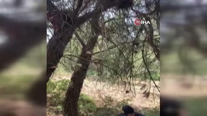 İntihara kalkışan itfaiye erini jandarma son anda kurtardı