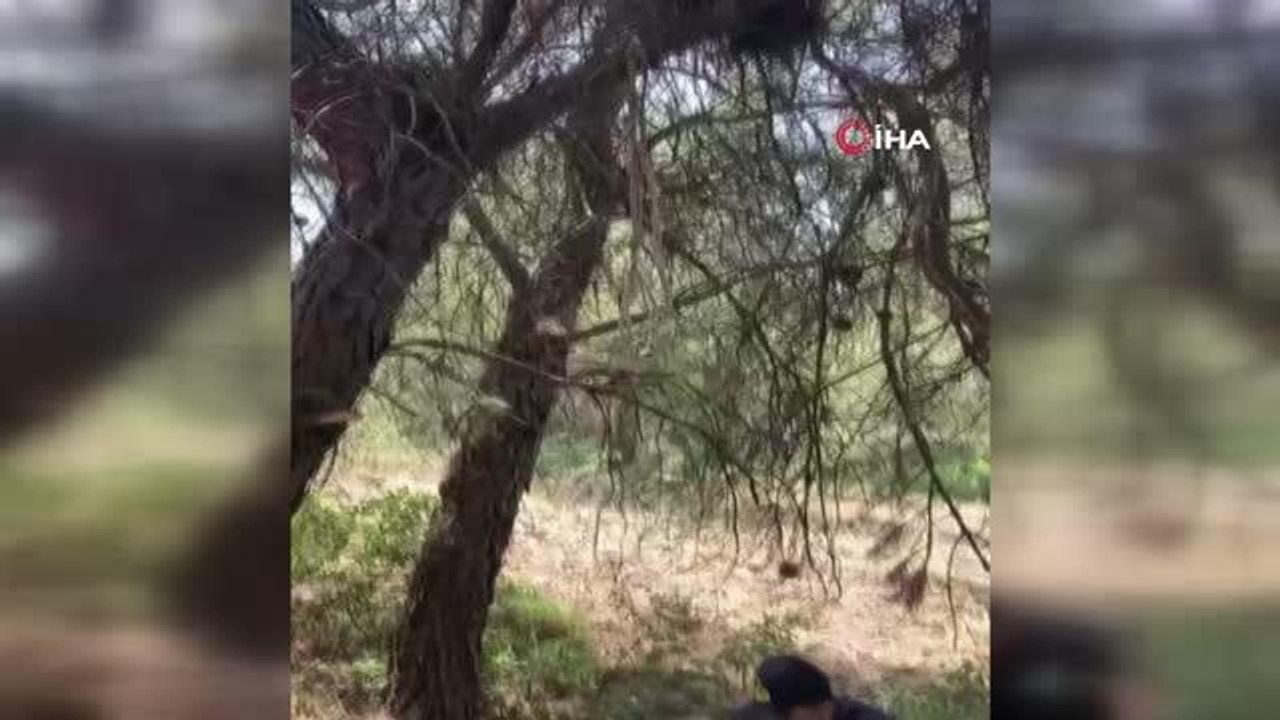 İntihara kalkışan itfaiye erini jandarma son anda kurtardı