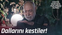 Façalılar'ın dalını budağını kestiler - Eşkıya Dünyaya Hükümdar Olmaz 196. Bölüm