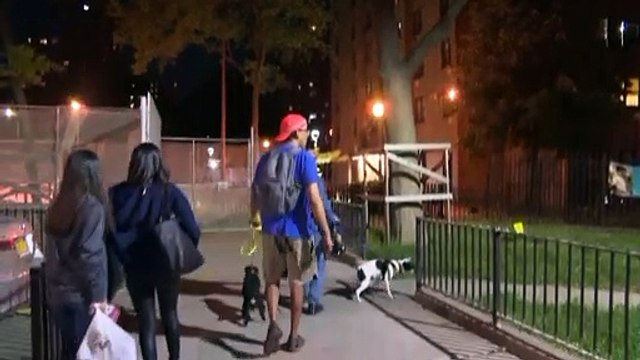 Нью-Йорк: супергерои против крыс