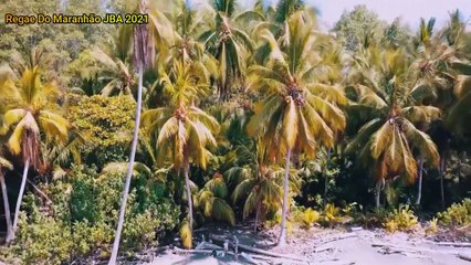 REGGAE 2021 Selena Gomez - The Heart Wants What It Wants