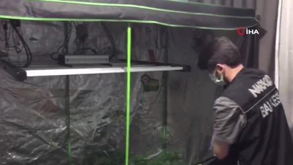 Elbise kabininde kenevir üretmişler
