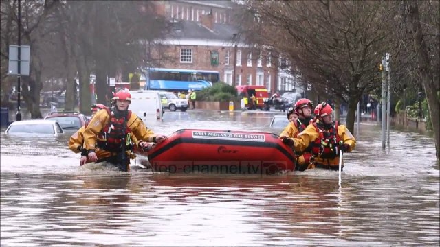 150220 STUHIA DENNIS 15