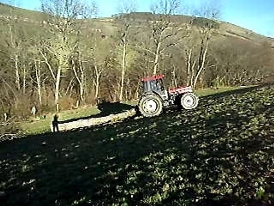une sacrée tête ce chêne