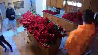 To Surprise Your Girlfriend With 100,000 Roses on Valentines Day