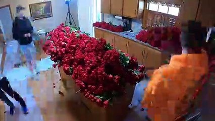 To Surprise Your Girlfriend With 100,000 Roses on Valentines Day