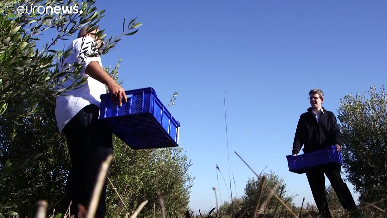 Zypernkonflikt: „Öl für den Frieden“