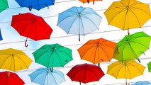 National Umbrella Day: Fun facts about umbrellas