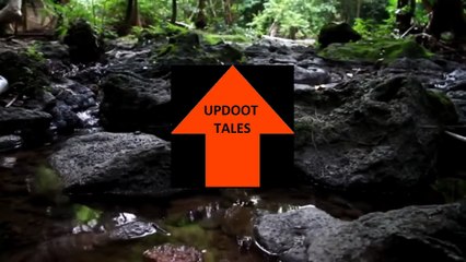 Updoot Tales r/Entitledparents Woman steals everything including the dog