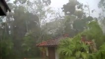 Tempestade ⛈ derruba árvores  no Amapá