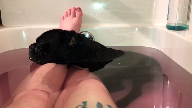 Sleeping Dog Snores During Bath