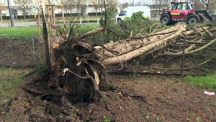 Tempestade "Ciara" já provocou sete mortos na Europa