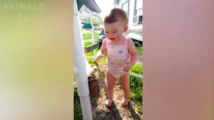 Animales graciosos, niños y bebés fallan