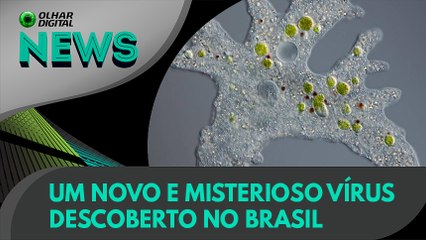 Ao vivo | Um novo e misterioso vírus descoberto no Brasil | 10/02/2020 #OlharDigital (165)