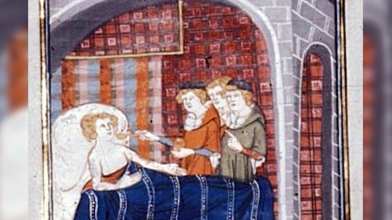 A Day In the Life Living With the Plague