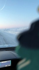 Polar Bears Wander Alaskan Road