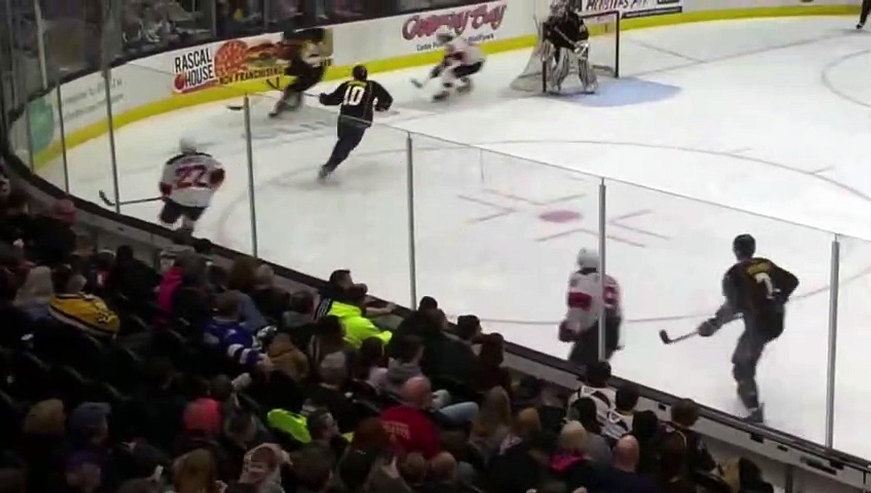 AHL Hockey fights McLeod #9 Binghamton devils!!!