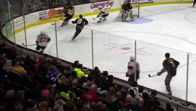 AHL Hockey fights McLeod #9 Binghamton devils!!!