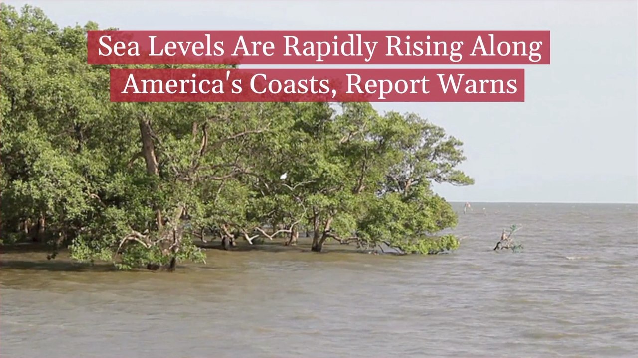 American Coasts Are In Danger