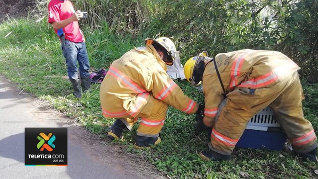 tn7-rescate-animales-bomberos-100220